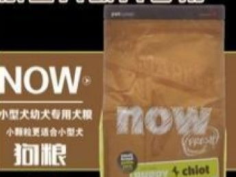 全新狗粮价格分析 上海宠物食品市场趋势与选购指南