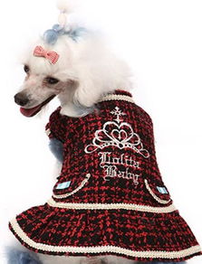 批发供应宠物食品 消化洁齿骨，1包起批，厂家直供，带图片详情