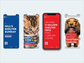 以爱为笔，以食为画——专访宠物食品包装设计师