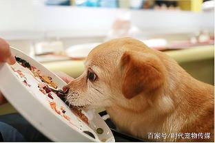 宠物食品行业的主流销售模式解析