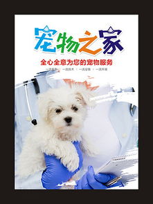 宠物食品广告 为爱宠挑选健康美味