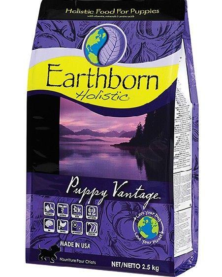 进口宠物食品的相关注意事项