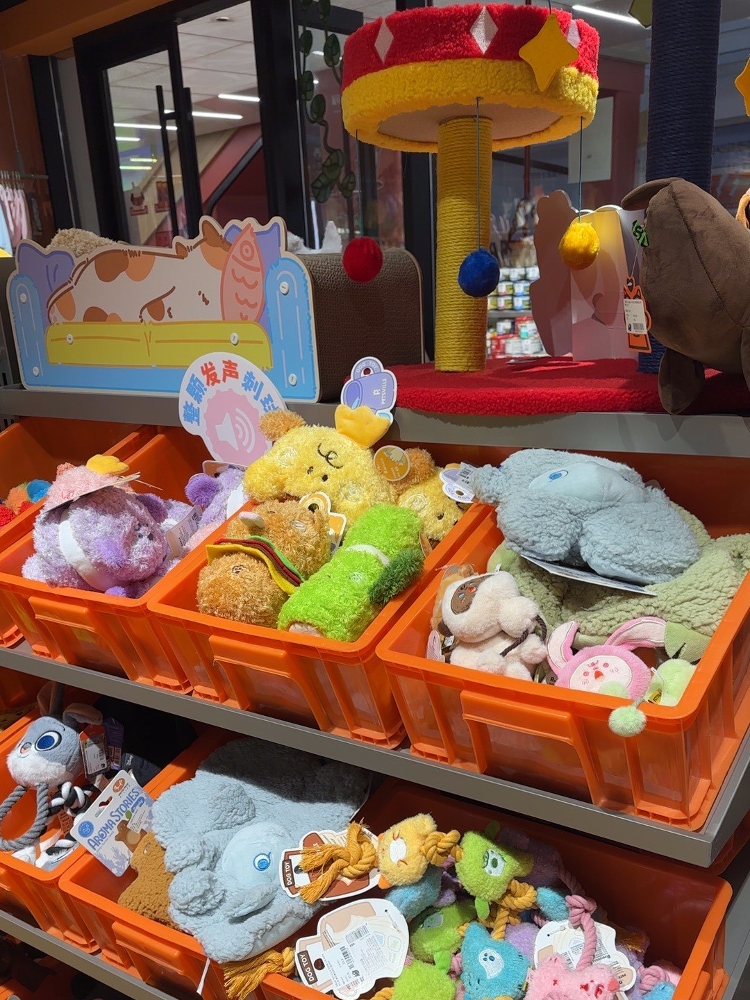 宠物超市中的宠食天地 品质与环境的双重保障